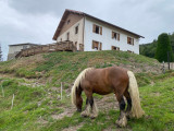 bussang-vosges-gite-la-cle-des-champs-vue-ext-01-308410