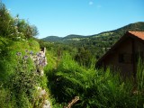chalet-nature-vosges-location-montagne-4-131062