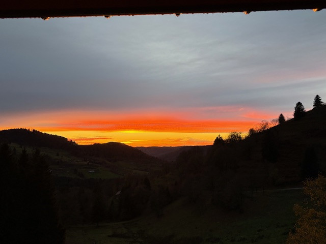 Chalet-10-personnes-le-menil-vosges-322966