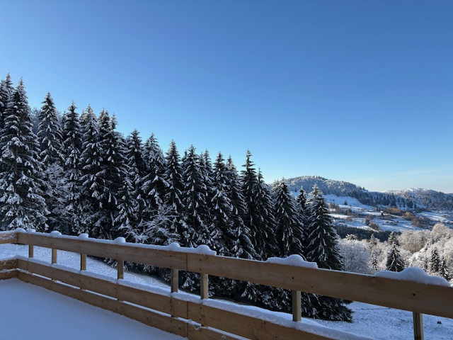 Chalet-10-personnes-le-menil-vosges-322973