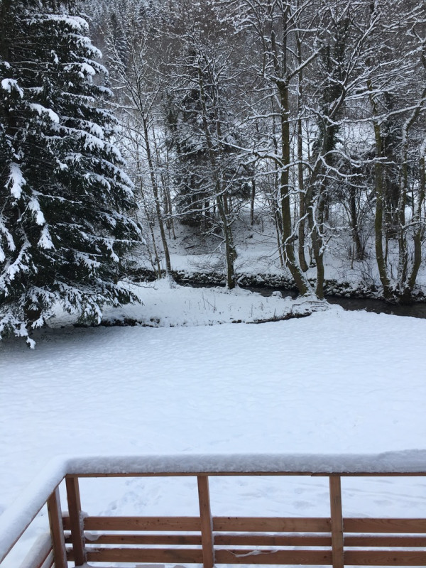 chalet individuel 6 personnes bussang vosges-239605 chalet individuel 6 personnes bussang vosges-239605