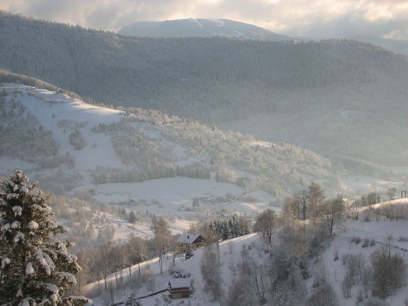 location-appartement-vosges-vacances-2-110265 location-appartement-vosges-vacances-2-110265